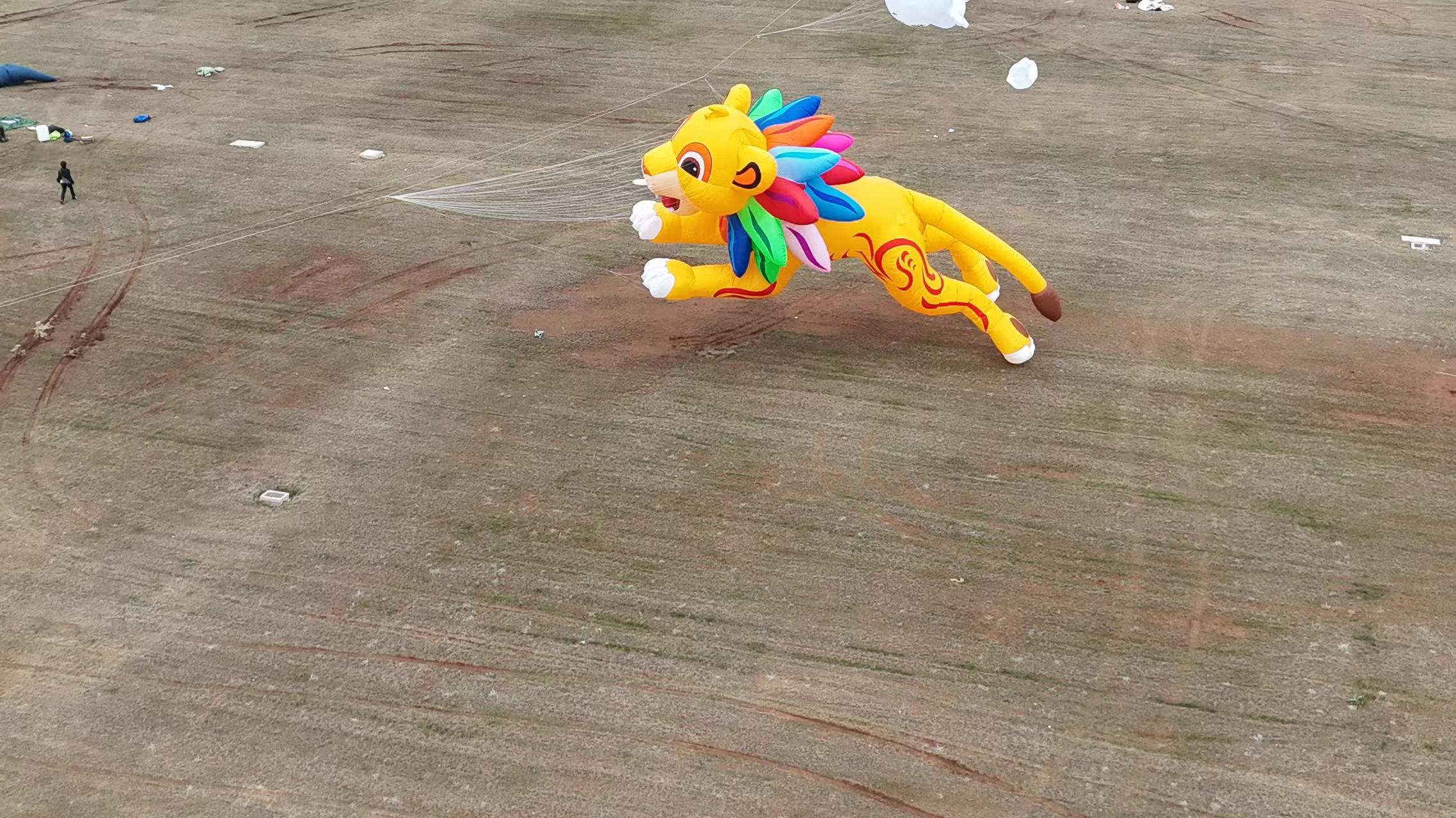 酒泉市品牌风筝定制风筝加工 - 一站式服务