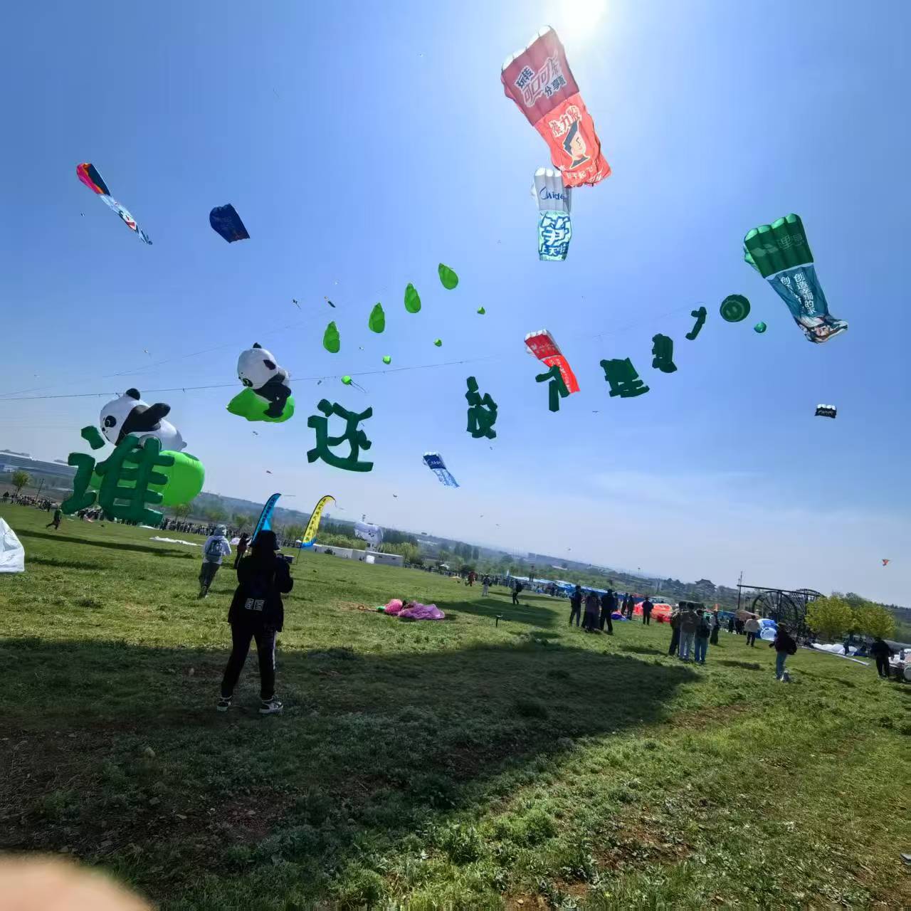 酒泉市风筝放飞活动策划风筝定制 - 推荐